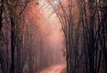 建议收藏：如何开一人公司？